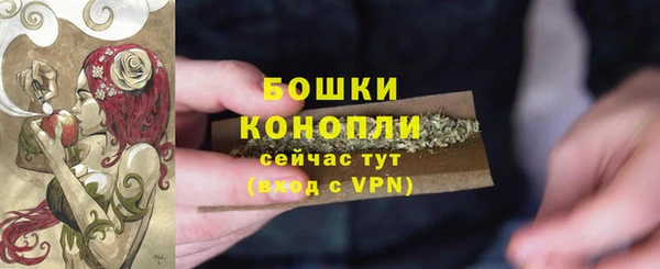 PSILOCYBIN Волоколамск