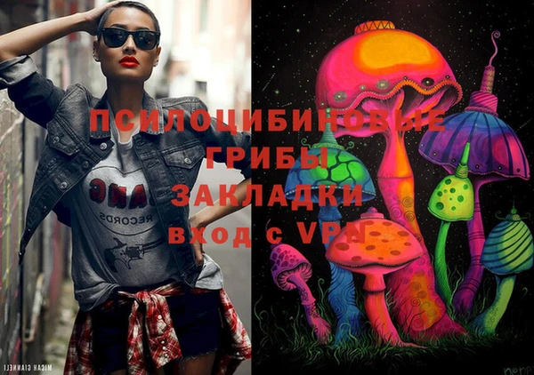 PSILOCYBIN Волоколамск