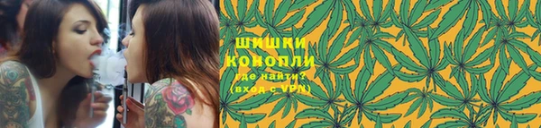 гидра Волосово