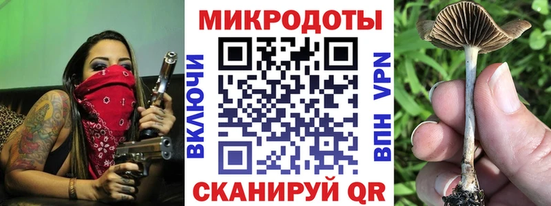 Псилоцибиновые грибы прущие грибы  где найти   Петров Вал 